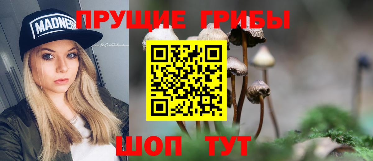 Галлюциногенные грибы мухоморы  Псилоцибиновые грибы MAGIC MUSHROOMS  Вход с VPN  Тверь 